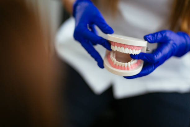 Trusted Val Verde Park, TX Holistic Dental Care Services Experts